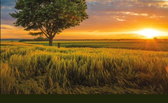 caminhei ao lado do tempo