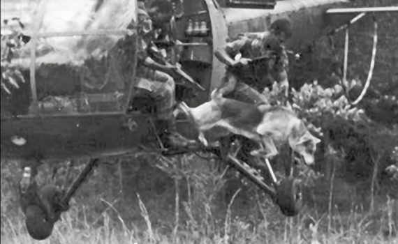 Kali meu fiel amigo em angola