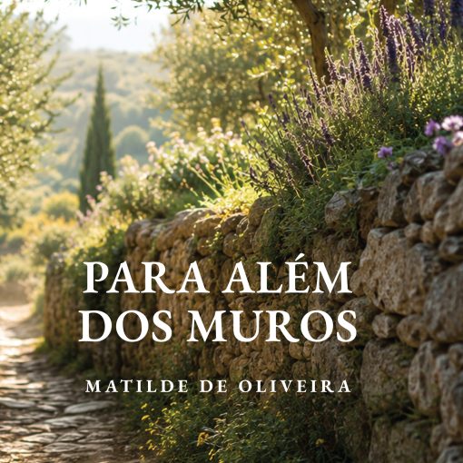 para alem dos muros