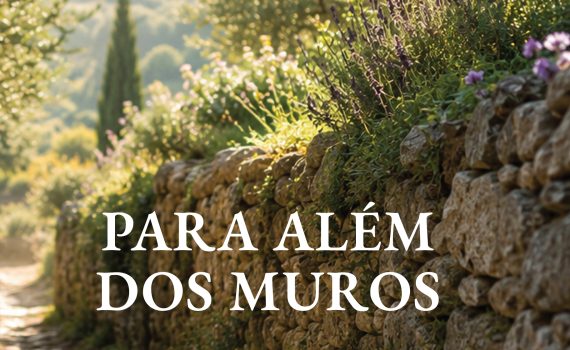 para alem dos muros