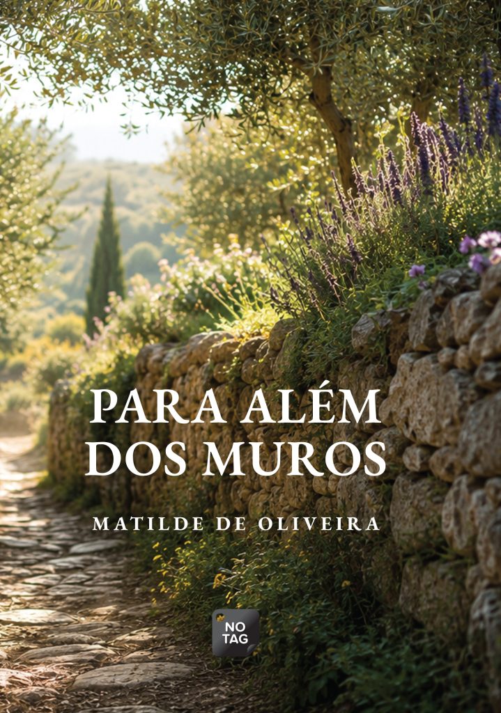 para alem dos muros
